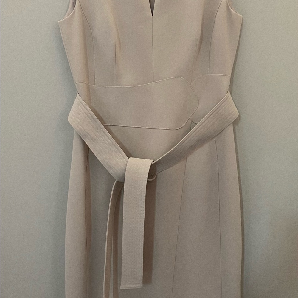 Karen Millen dress never worn